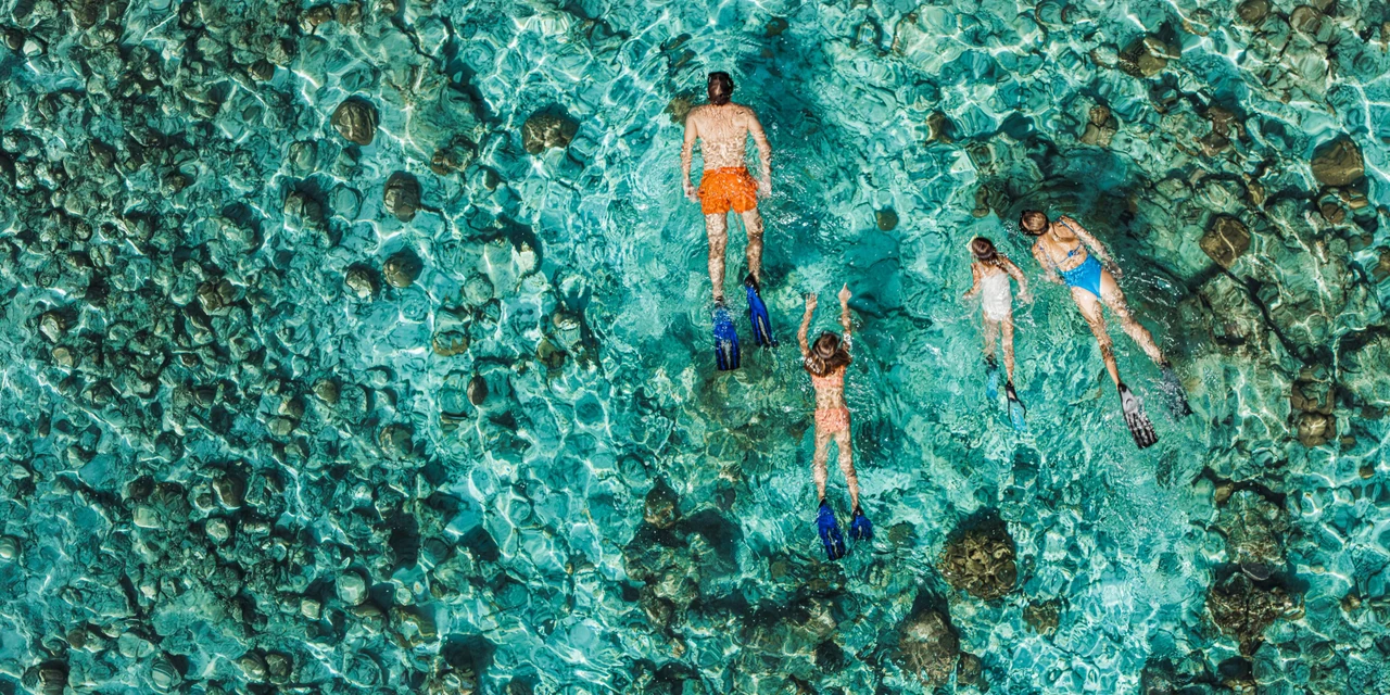 Official photograph of snorkelling above coral in clear seawater